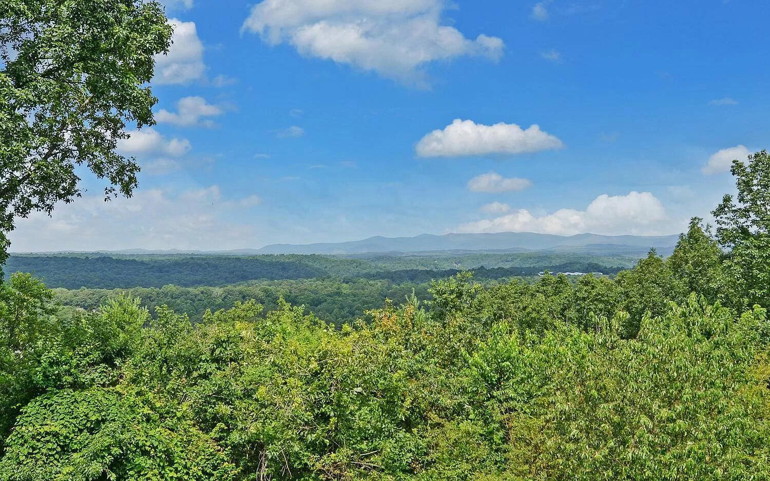 Birds Eye Cabin - Sunset & Starry Retreat Pet Friendly W Private Hottub, Fire Pit And Game Room Ellijay Buitenkant foto